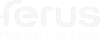 ferus-inc-logo-removebg-preview 1